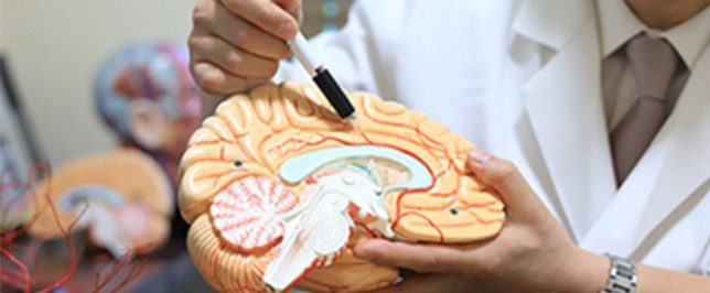 脳ドック / 脳MRI （脳梗塞・脳出血・脳動脈瘤の早期発見に）